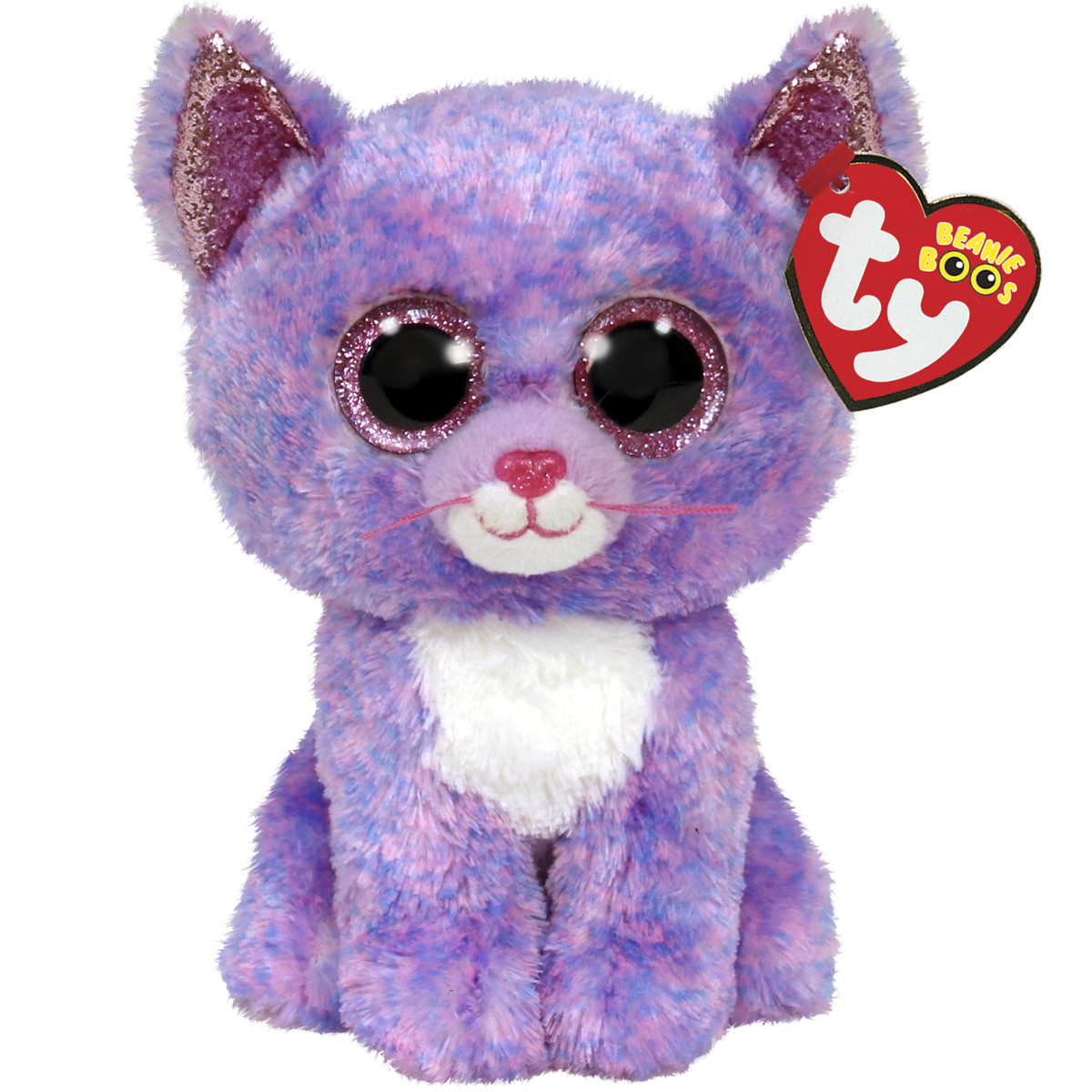 CASSIDY - lavender cat reg